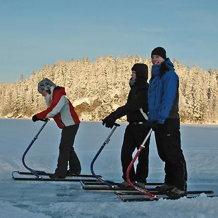 Hotel Rinssi-eversti Rantasalmi